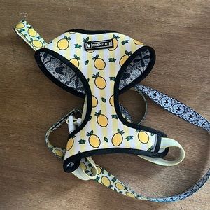 Lemon reversible harness